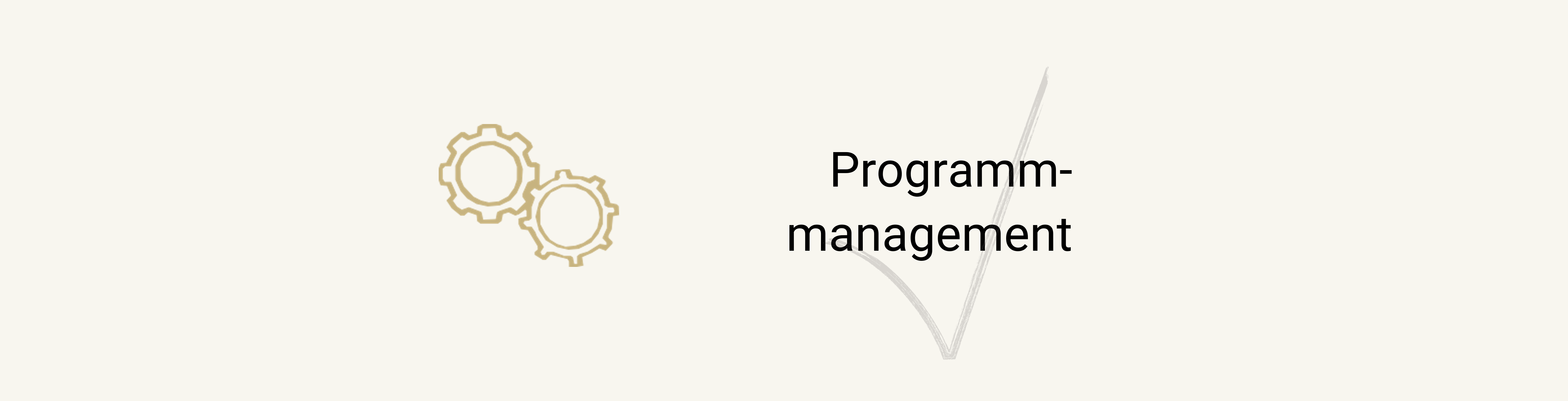 Programmmanagement